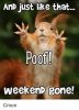 and-just-like-that-poof-weekend-gone-cmon-41138201.jpg