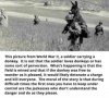 jackass.jpg