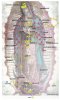 Our Lady of Guadelupe.jpg