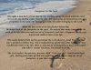 il_794xN.2955363852_qj0m.jpg
