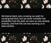 Cat black cat lucky.jpg