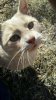 SandyUpcloseJan2022.jpg