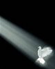 holyspiritdove.jpg