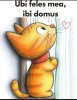 FB_IMG_1772876761939(1).jpg