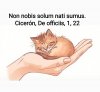 FB_IMG_1777214579748.jpg