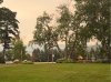 IMG_3093.jpeg