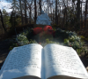 upload_2019-1-11_14-45-29.png