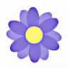 PurpleFlower